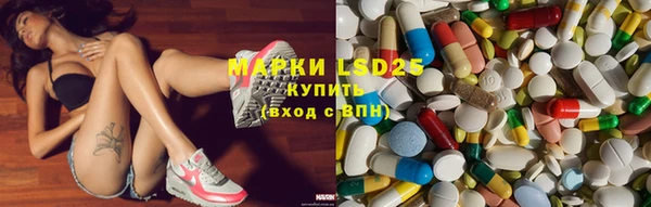 дживик Новозыбков