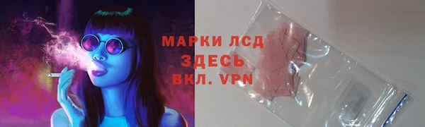 спиды Няндома