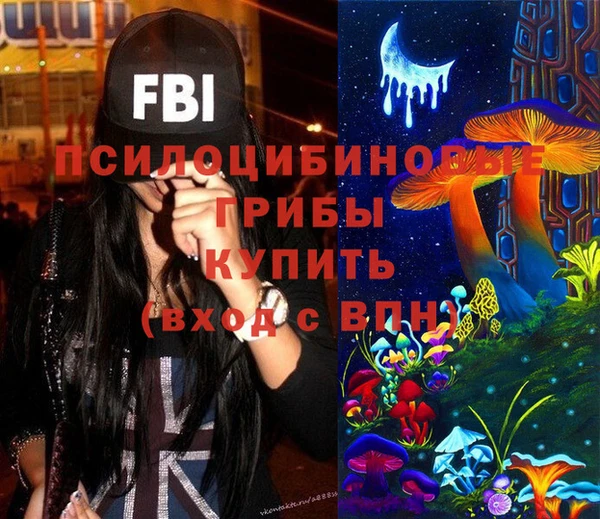 спиды Няндома