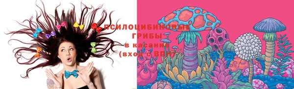 спиды Няндома
