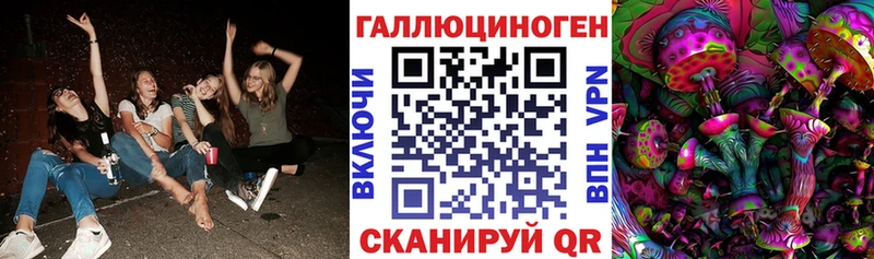 Псилоцибиновые грибы прущие грибы ОМГ ОМГ ССЫЛКА Чкаловск наркота